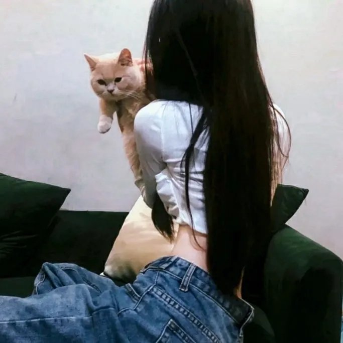 女人行 在线观看封面