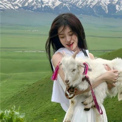 猎毒者2 在线观看封面