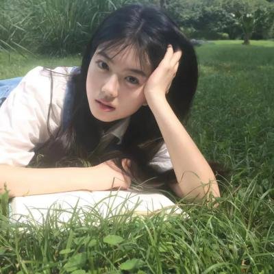 法证先锋2国语 在线观看封面